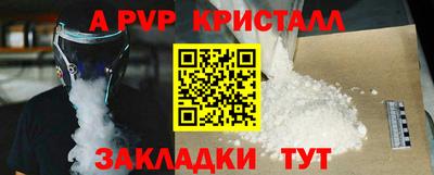 бошки Кингисепп