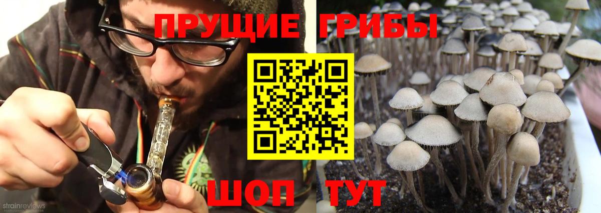 Псилоцибиновые грибы GOLDEN TEACHER  Вход с VPN  Нурлат 